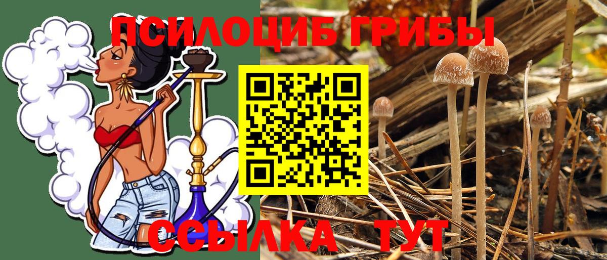 Псилоцибиновые грибы Magic Shrooms  Галлюциногенные грибы мухоморы  Алексеевка  Вход с VPN 