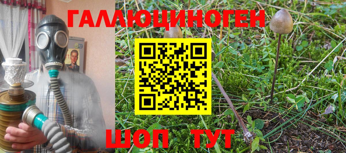 Псилоцибиновые грибы мицелий Алексеевка